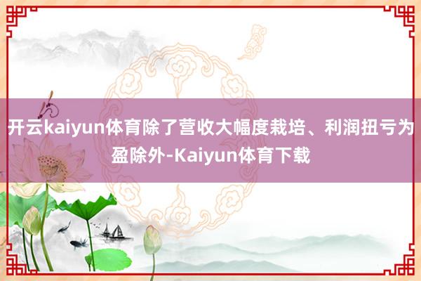 开云kaiyun体育除了营收大幅度栽培、利润扭亏为盈除外-Kaiyun体育下载