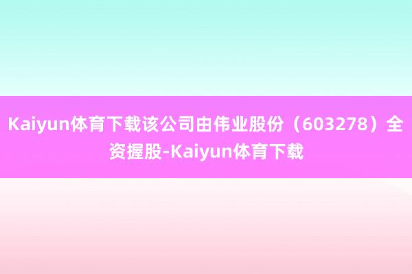Kaiyun体育下载该公司由伟业股份（603278）全资握股-Kaiyun体育下载