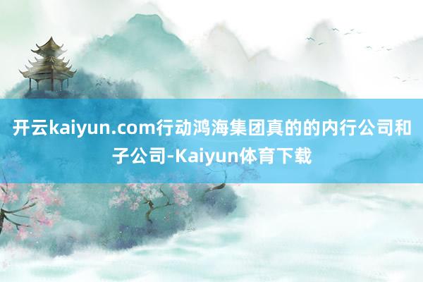 开云kaiyun.com行动鸿海集团真的的内行公司和子公司-Kaiyun体育下载