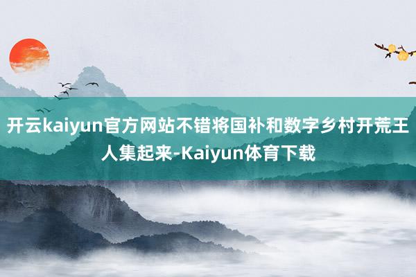 开云kaiyun官方网站不错将国补和数字乡村开荒王人集起来-Kaiyun体育下载