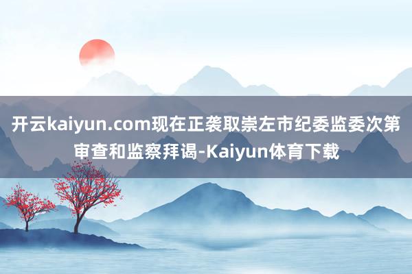 开云kaiyun.com现在正袭取崇左市纪委监委次第审查和监察拜谒-Kaiyun体育下载