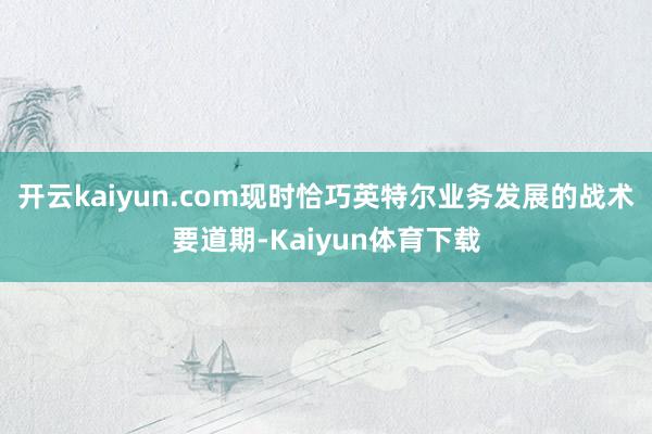开云kaiyun.com现时恰巧英特尔业务发展的战术要道期-Kaiyun体育下载