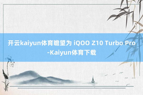开云kaiyun体育瞻望为 iQOO Z10 Turbo Pro-Kaiyun体育下载
