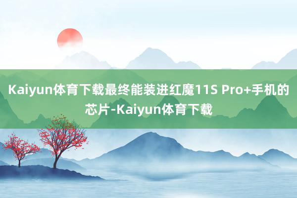 Kaiyun体育下载最终能装进红魔11S Pro+手机的芯片-Kaiyun体育下载