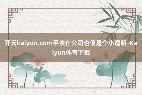 开云kaiyun.com平淡在公司也便是个小透明-Kaiyun体育下载