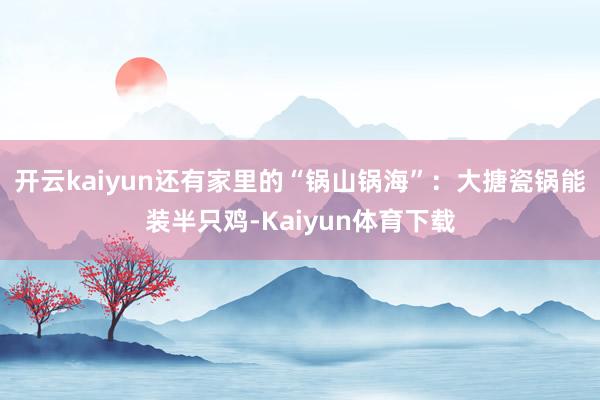 开云kaiyun还有家里的“锅山锅海”：大搪瓷锅能装半只鸡-Kaiyun体育下载